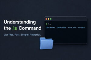 ls command linux example file listing